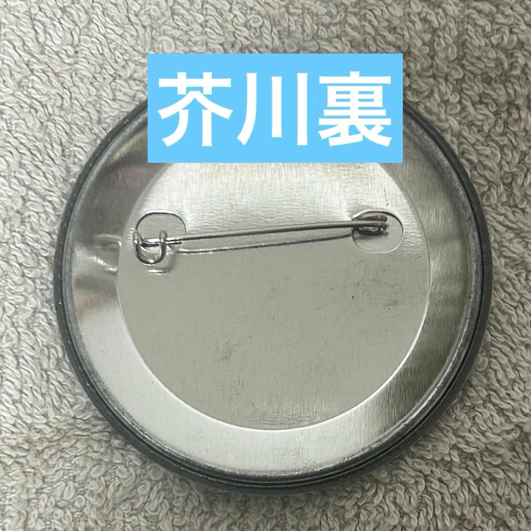 文スト DEADAPPLE 入場特典缶バッジ 春河35 コンプリート