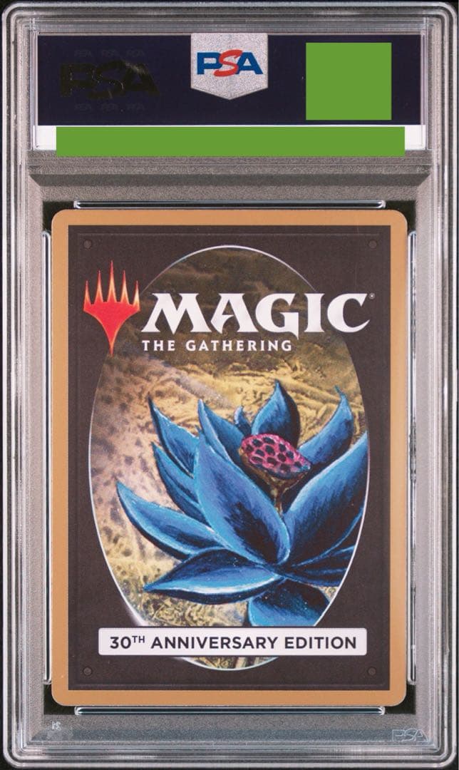 MTG 30th anniversary 旧枠 Fastbond PSA10