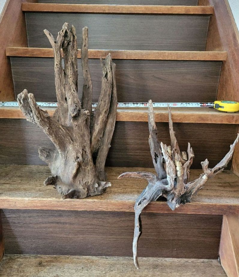 中大型水槽の主役 超ドラマティック流木 約60cm 爬虫類・両生類用