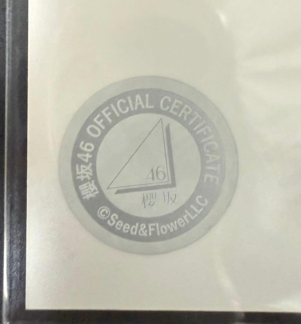 櫻坂46 藤吉夏鈴 直筆生写真 サンタ衣装 2024 ヨリ