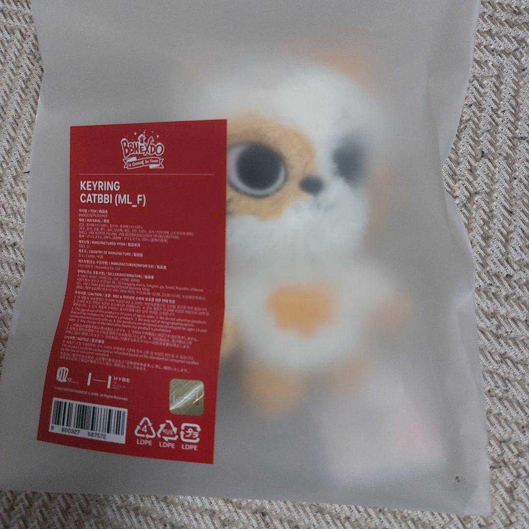 BOYNEXTDOOR プネクド キーリング CATBBI 未開封 ソンホ - メルカリ