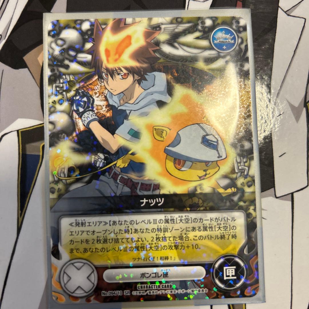 家庭教師ヒットマンREBORN 沢田綱吉&ナッツ URカード - メルカリ