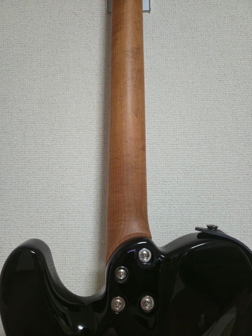 [美品]Bacchus BTE-1DX RSM/M Black