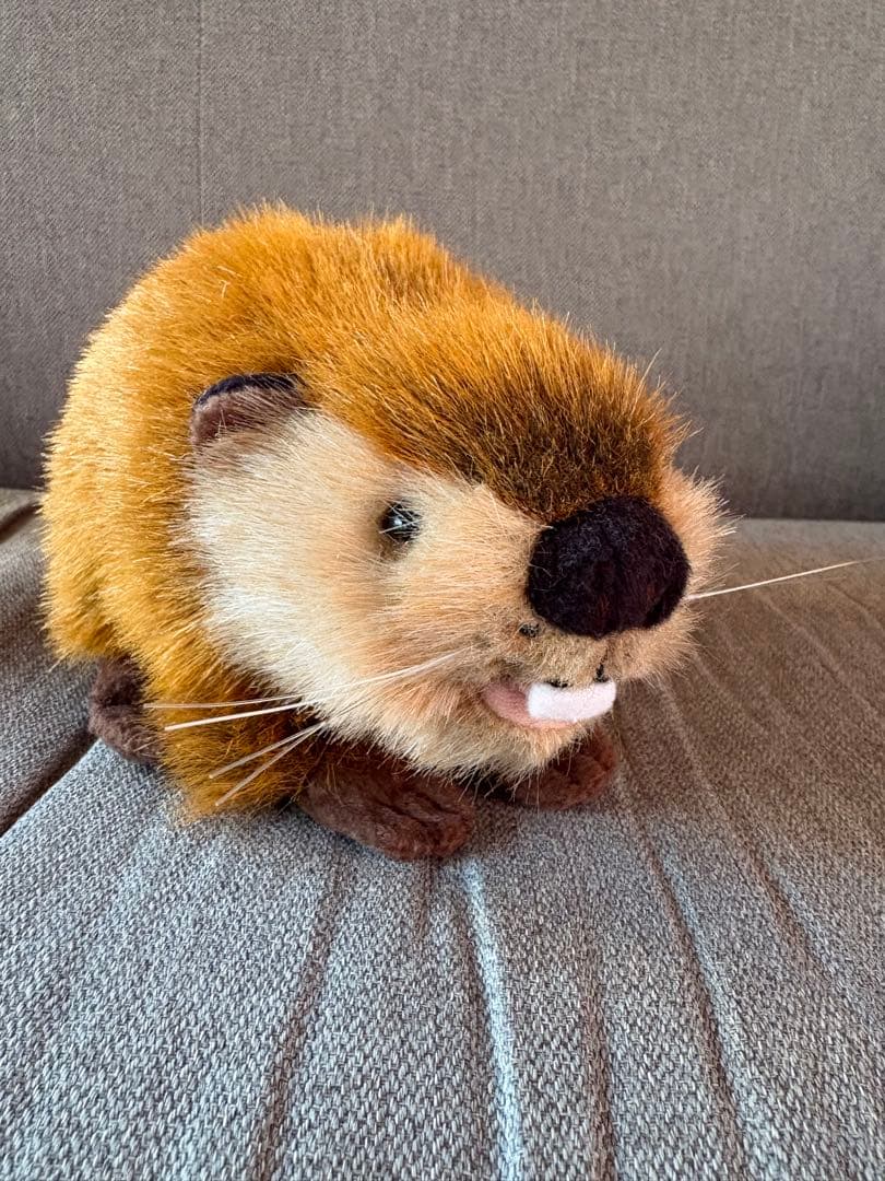 スーパービーバーちゃん SUPER BEAVER ぬいぐるみ