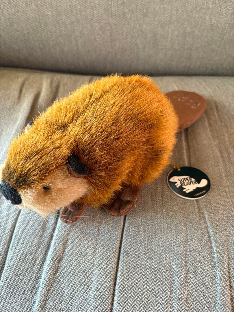 スーパービーバーちゃん SUPER BEAVER ぬいぐるみ