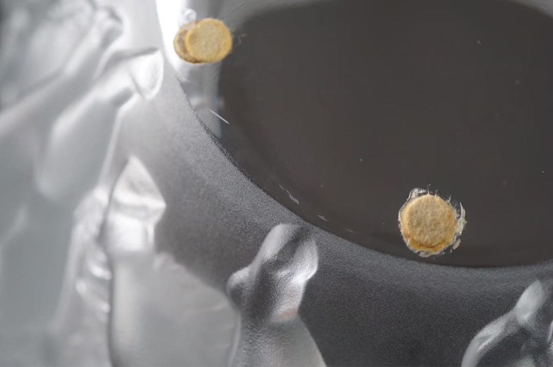 ルネ・ラリック「リュクサンブール」 花瓶 元箱あり R.LALIQUE