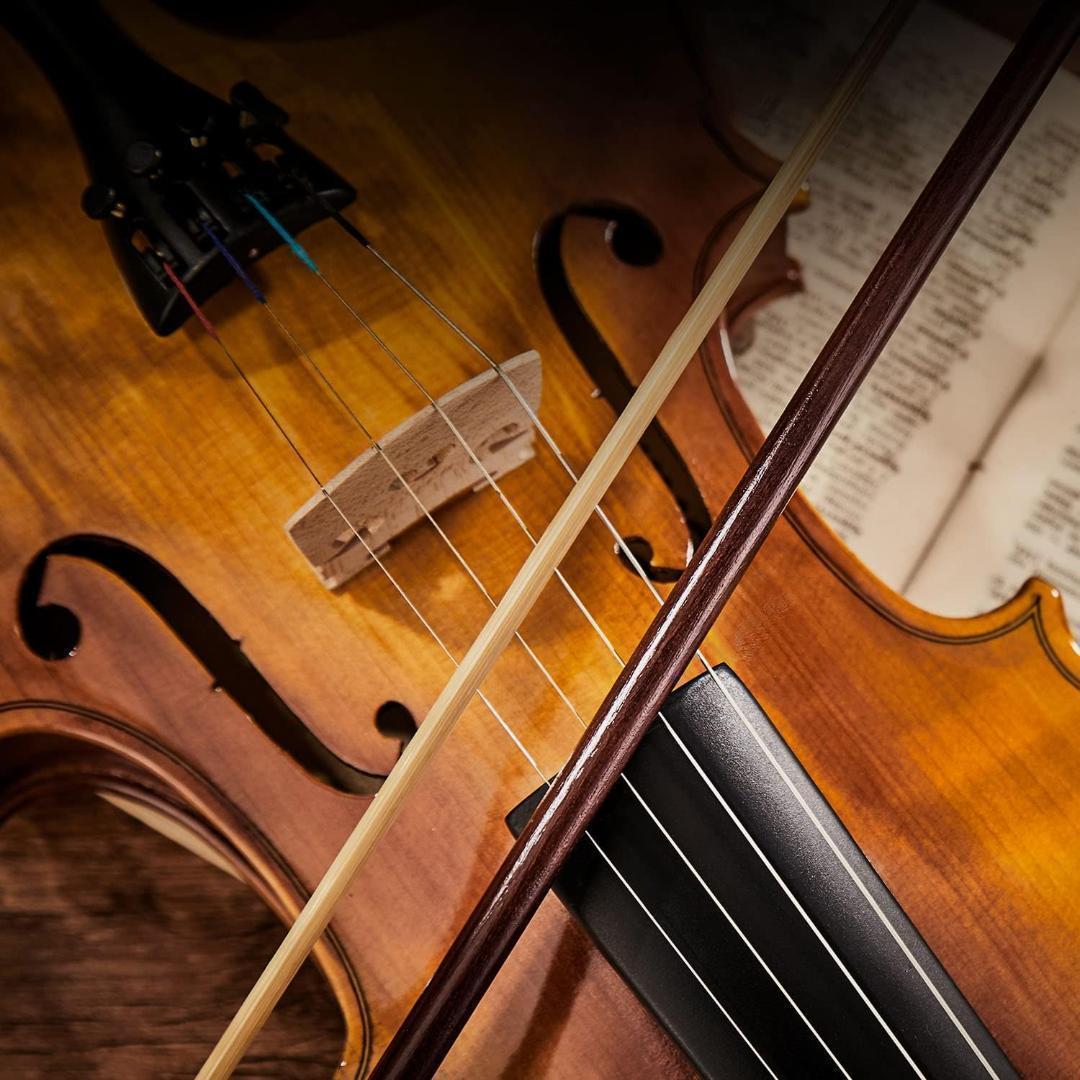 SUZUKI VIOLIN 鈴木バイオリン No.19 4/4 試奏動画あり