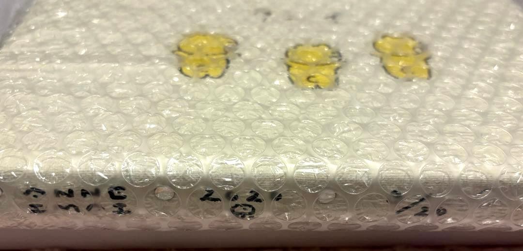 今井杏　ANNE IMAI　くまいぬ　キャンバスアート　アート　絵画　まとめ売り