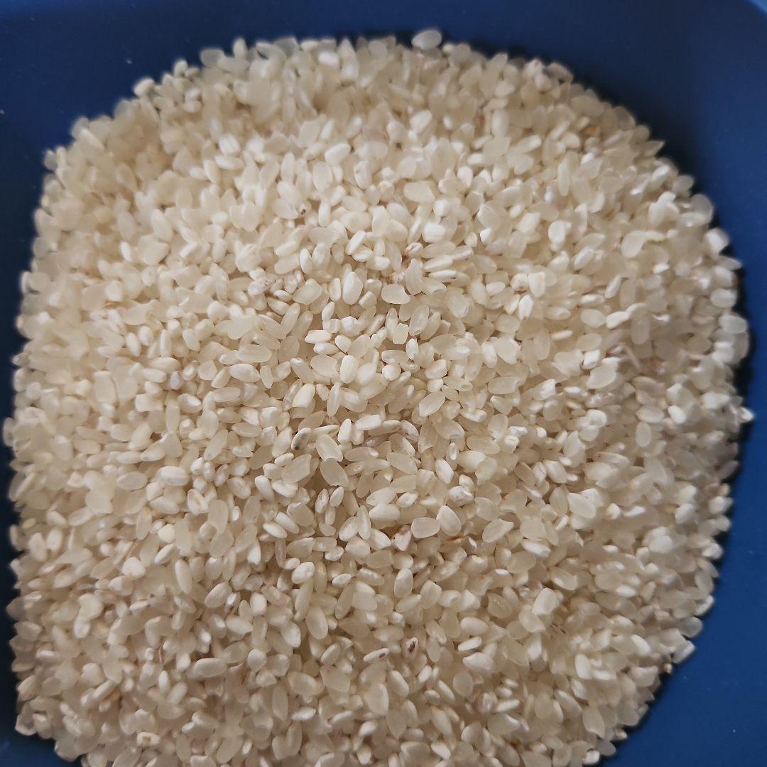 令和6年くず米精米済 - メルカリ