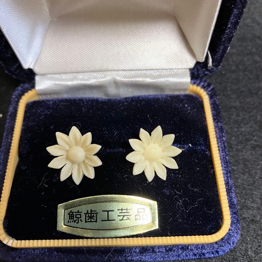 鯨歯工芸品 イヤリング6点セット 鯨歯 マッコウクジラ イヤリング