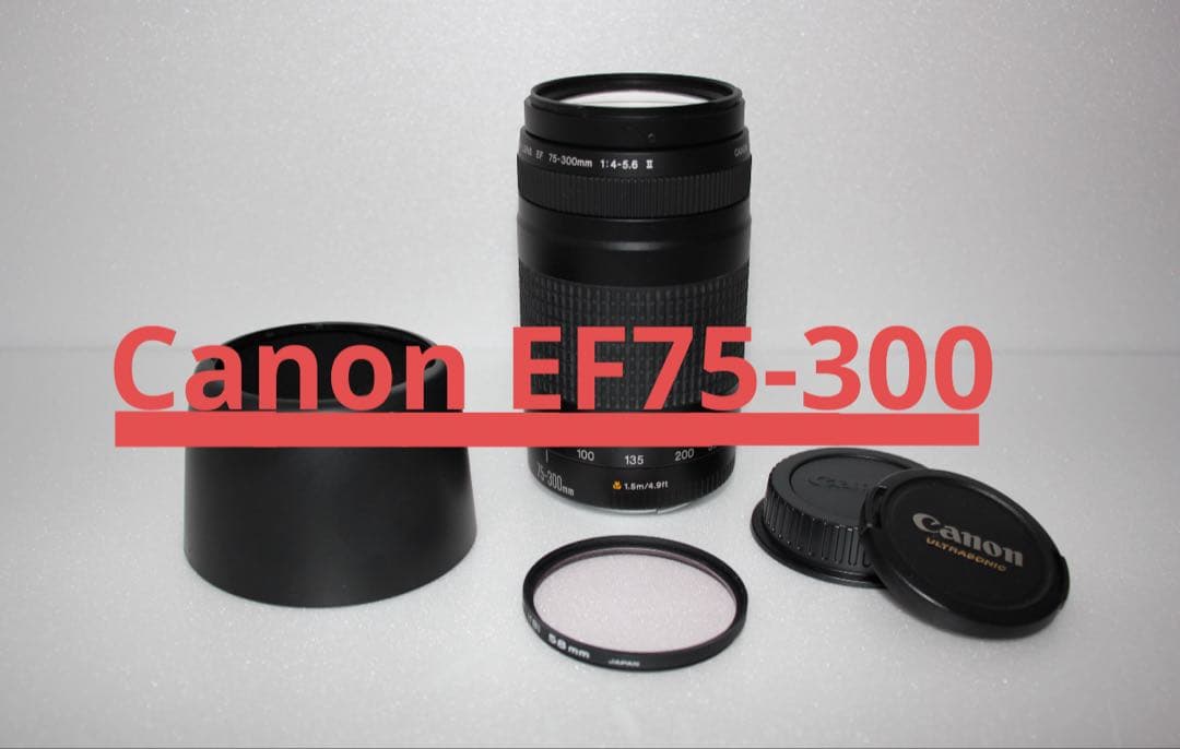 デジタル一眼レフカメラ☆望遠レンズ☆Canon EF75-300㎜