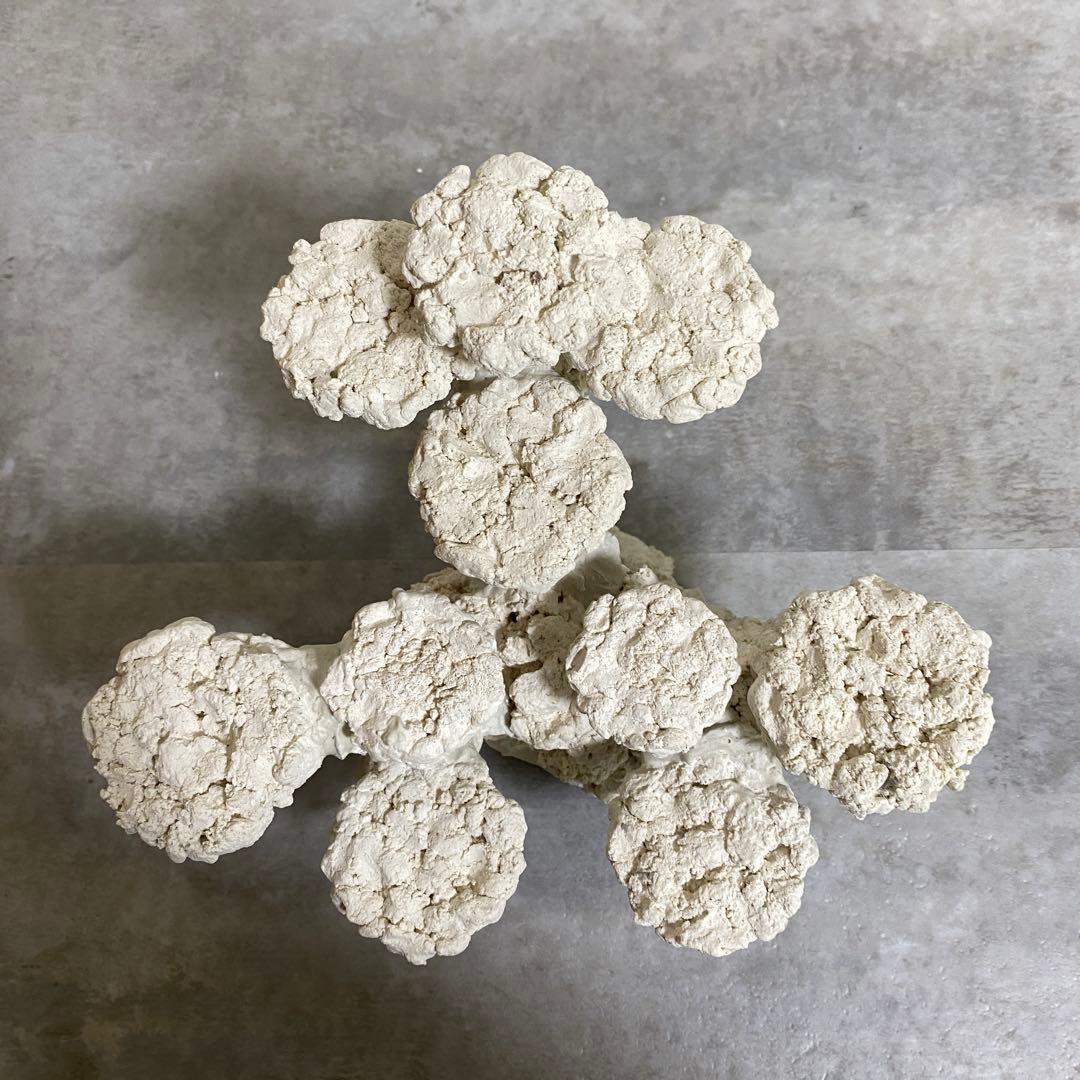 30cm 水槽用ホワイトコーラル型石 レイアウト済 人口ライブロック サンゴ