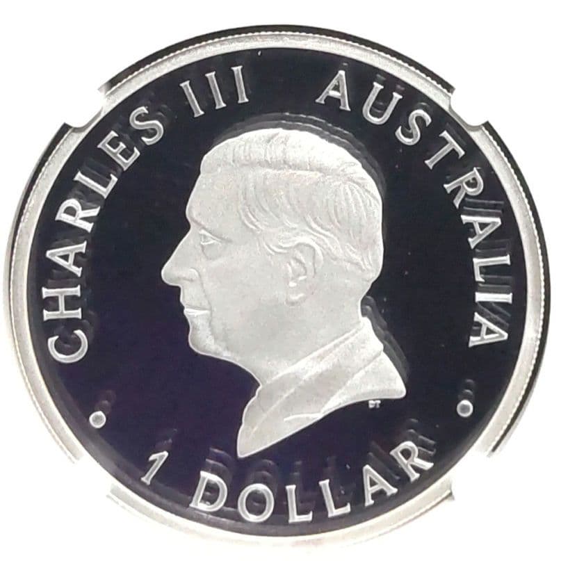 最高鑑定】2024年 白鳥 1オンス銀貨 NGC PF70 純銀 - メルカリ