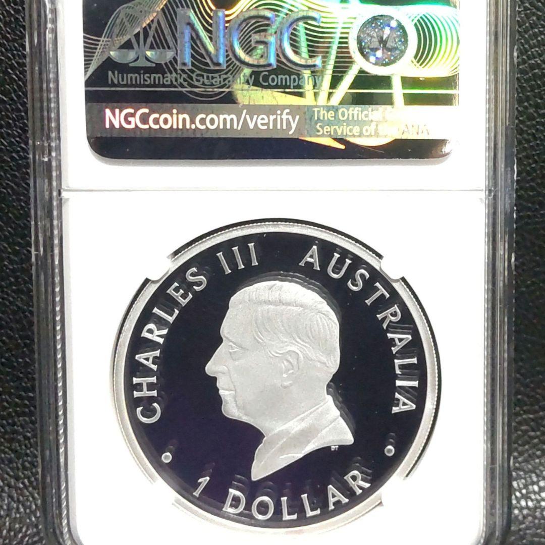 最高鑑定】2024年 白鳥 1オンス銀貨 NGC PF70 純銀 - メルカリ