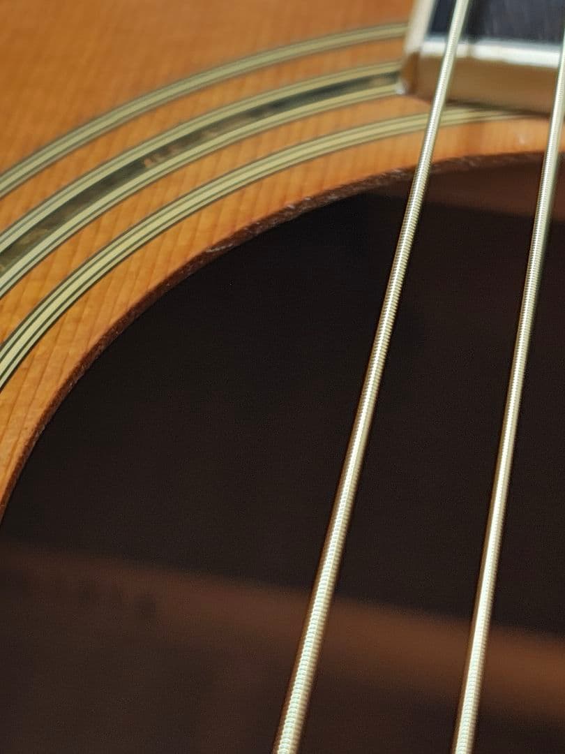 JAPANビンテージ/Vantage W-345/ギグケース付/美品 - メルカリ