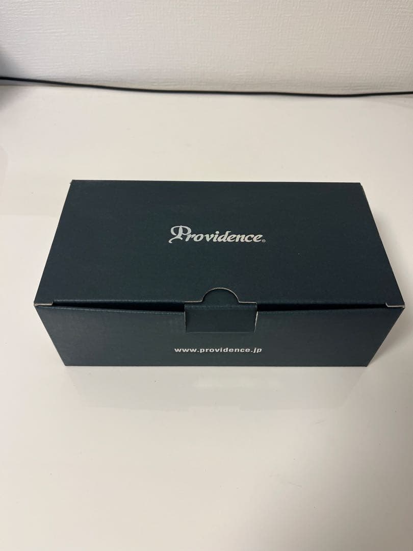 美品箱付 PROVIDENCE (プロヴィデンス)/ Provolt9 PV-9