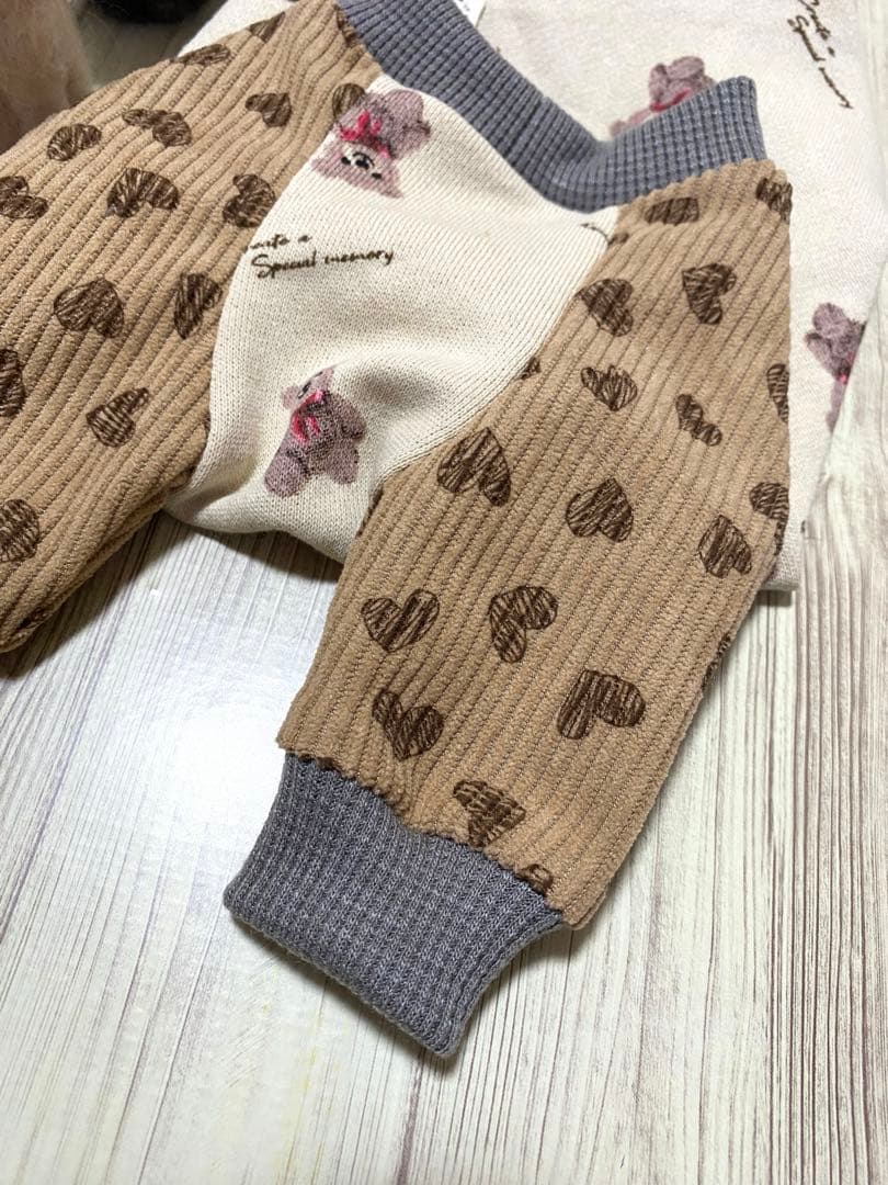 犬服 ラグラン(S) ꒡̈⃝Lily꒡̈⃝ハンドメイド