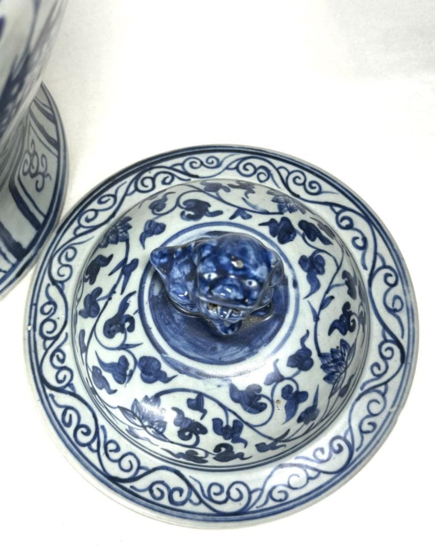 古染付 龍紋獅耳大壷 伝世品焼物 虫食い 青花 呉須