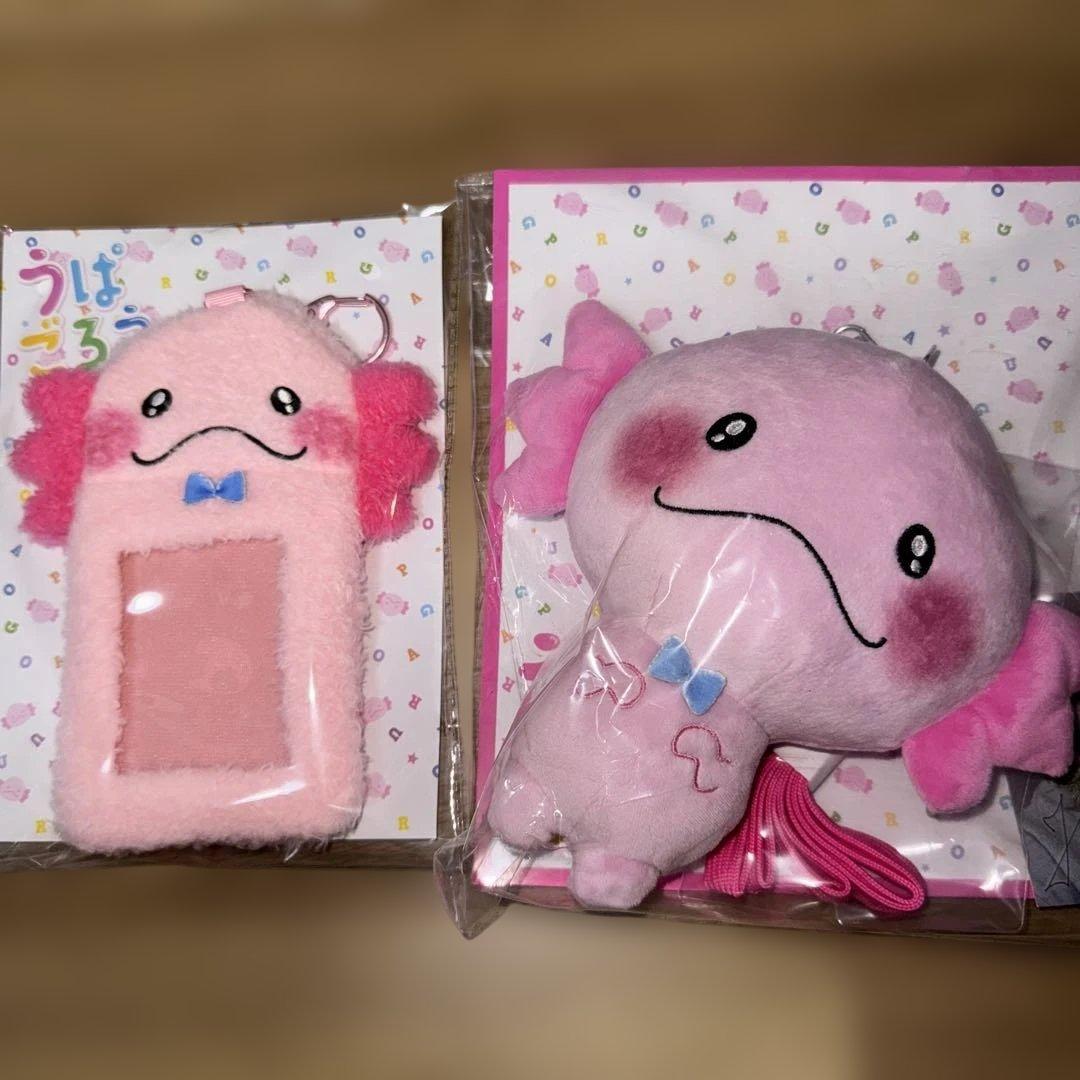 佐藤大樹　うぱごろうセット ꒰( ˙𐃷˙ )꒱ うぱごろうよ… 沢山のひとに可愛がってもらうんだぞ