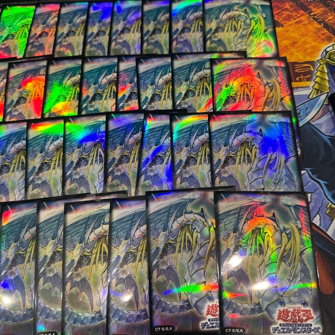 レインボードラゴンスリーブ71枚