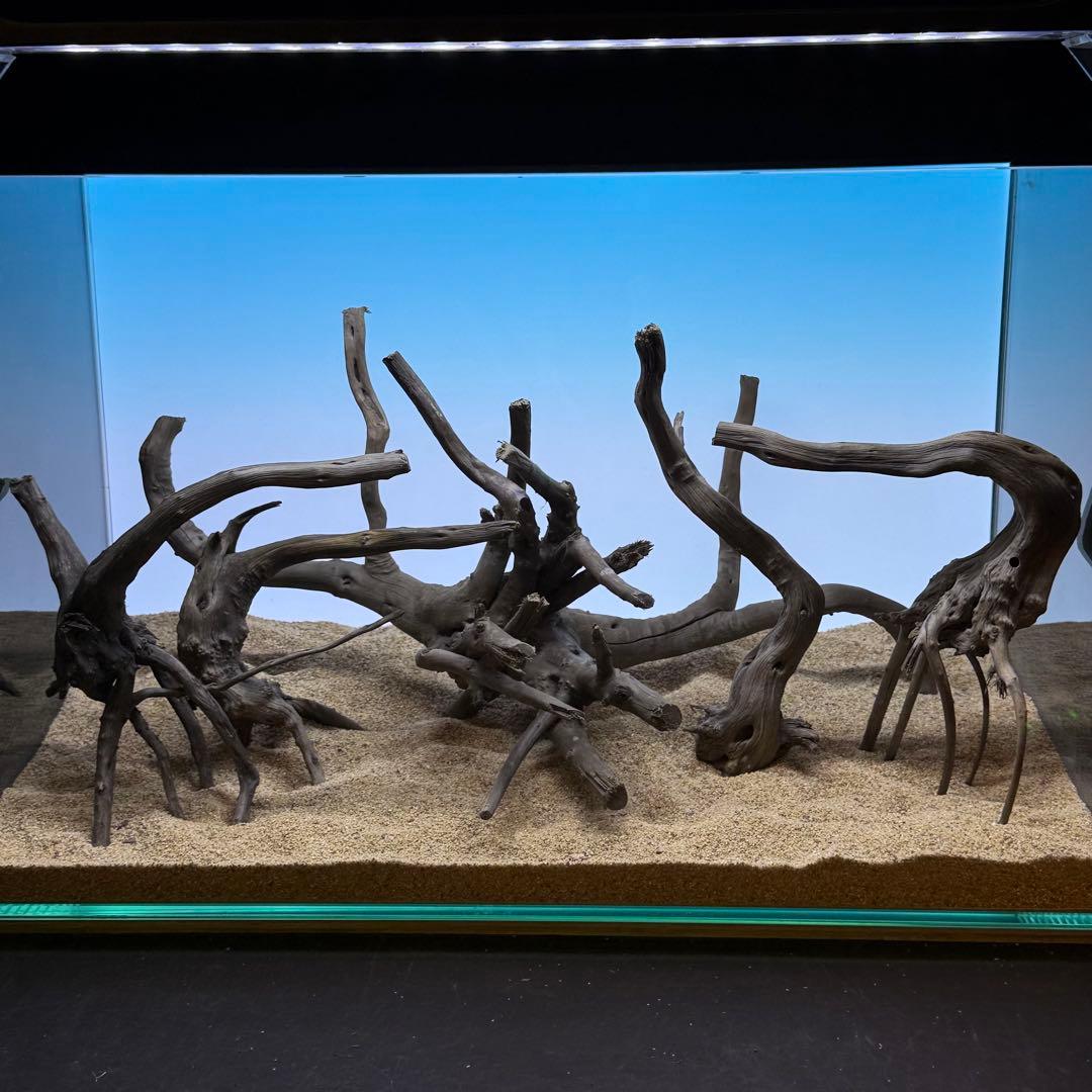 MDW-7280 ブランチウッド(ブラック)5本セット 45cm水槽用 枝流木