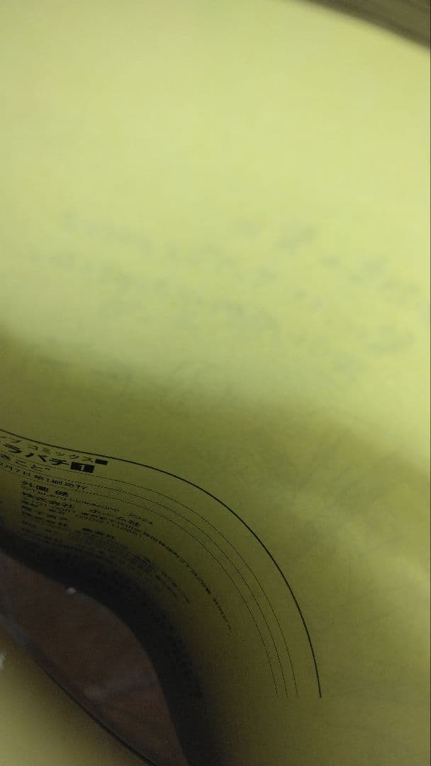 ブロッコリー(出品予定はプロフの下の方)