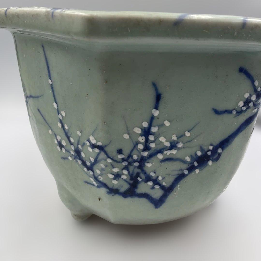 瀬戸 梅文 青磁 植木鉢 盆栽鉢 梅鉢 時代物　❷個セット