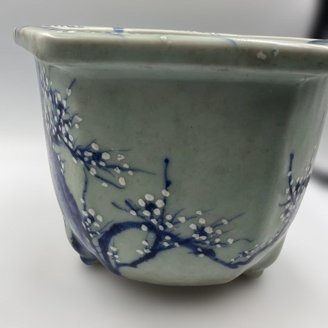 瀬戸 梅文 青磁 植木鉢 盆栽鉢 梅鉢 時代物　❷個セット