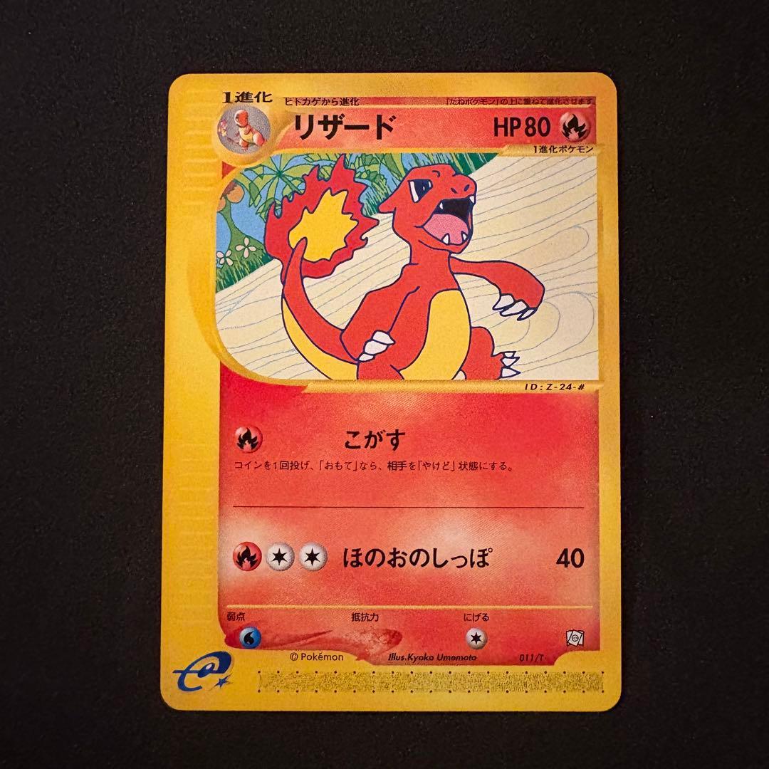 リザード・カメール・トレーナーズマガジンプロモまとめ売