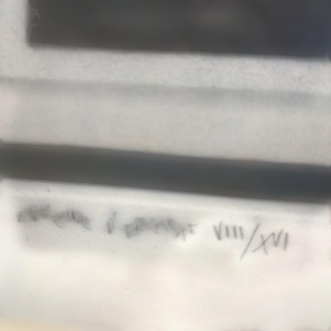 3982）マリオ・アバチ「 QUATORZE JUILLET 」メゾチント