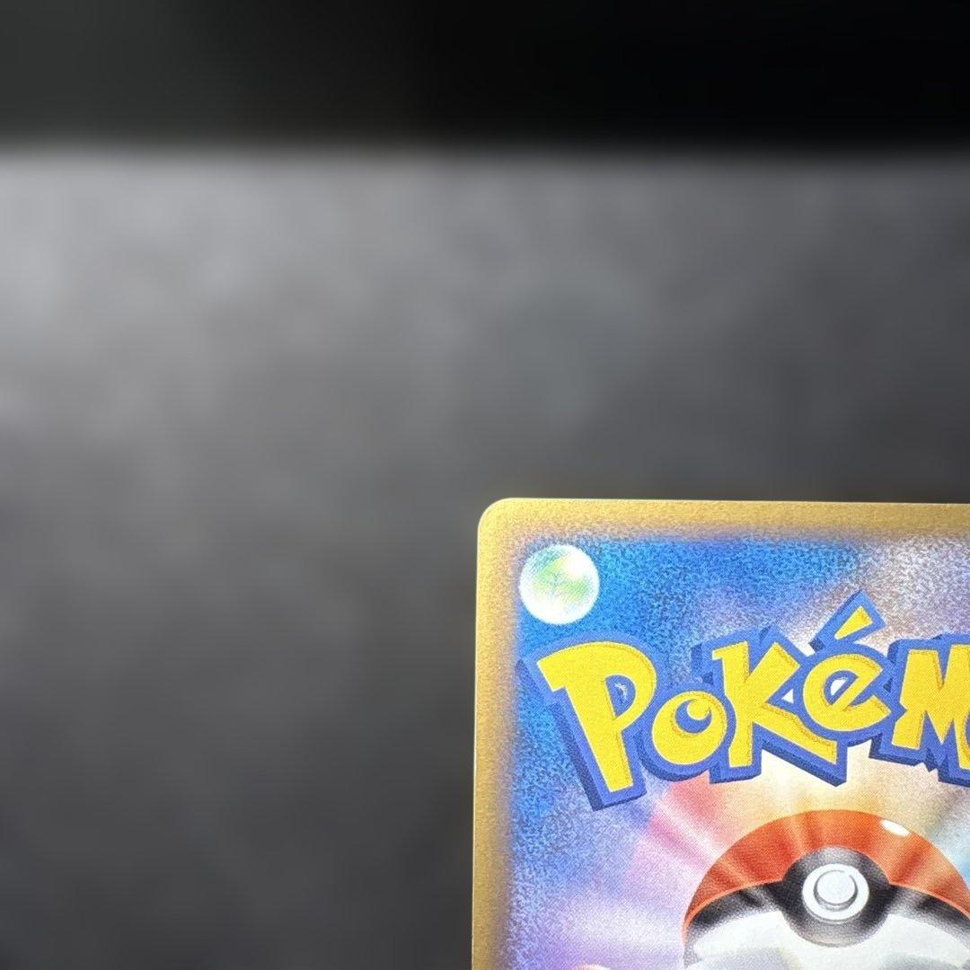 ピカチュウワールド　ピカチュウ　ポーランド