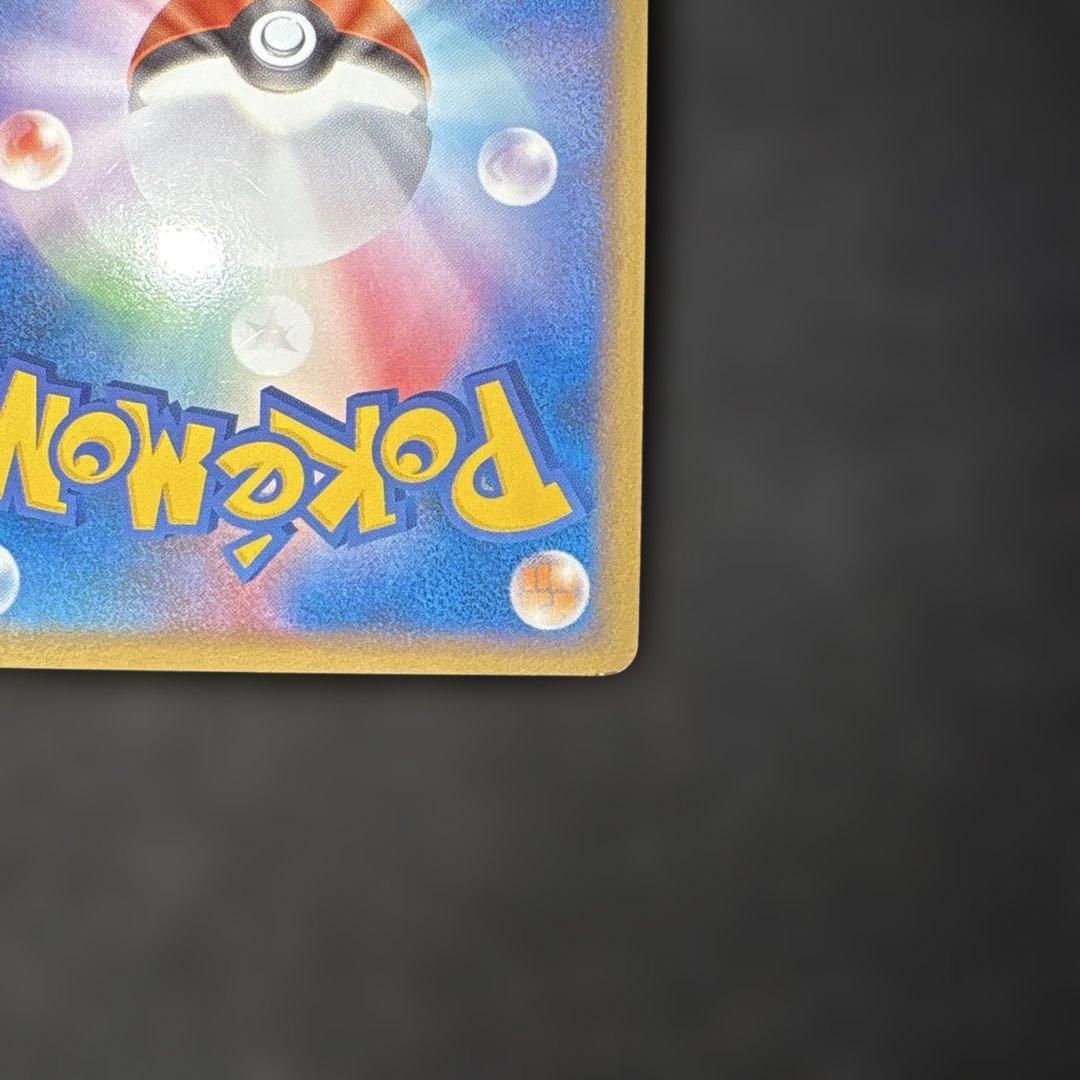 ピカチュウワールド　ピカチュウ　ポーランド