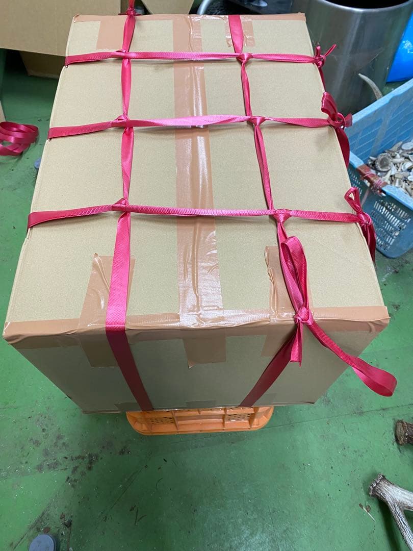 鹿の角　鹿のツノ　鹿角　鹿ツノ　蝦夷鹿　角　バンドメイド　クラフト　材料