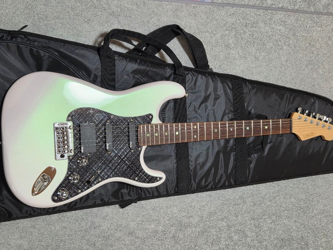 コンポーネントエレキギター T's Guitars USACG Fender