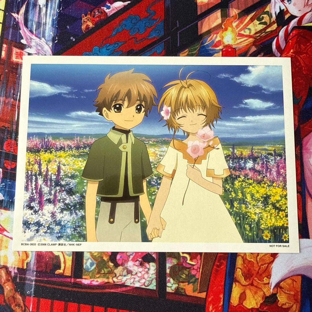 ツバサクロニクル イラストカード ブロマイド 小狼 木之本桜 非売品