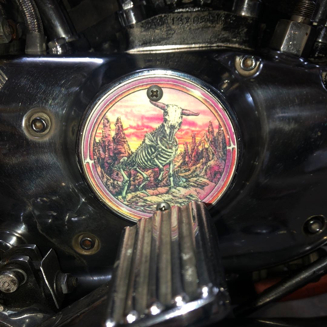 ステッカーシールデカール 屍しかばねろっ骨化石まとめてジェスパー