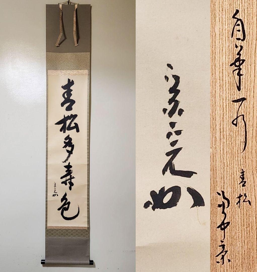 茶掛 表千家【堀内宗完 (兼中斎)】一行書 『青松多寿色』 紙本 桐共箱 掛軸