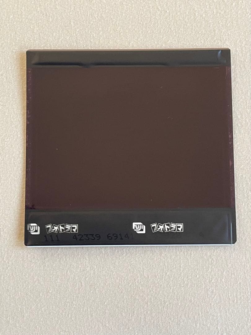 武井咲さんの直筆サイン入り写真　④ 抽プレ