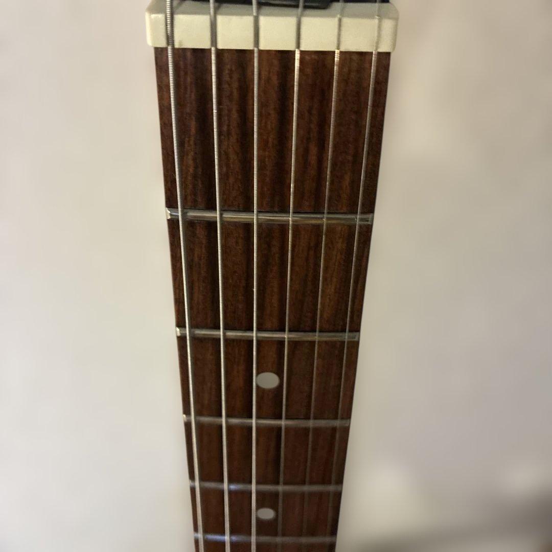 ピグノーズPGG200 ブラック