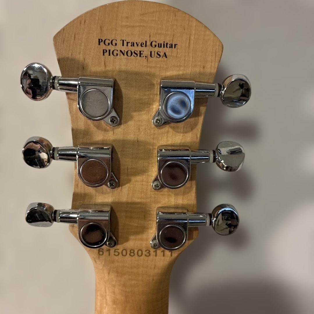 ピグノーズPGG200 ブラック