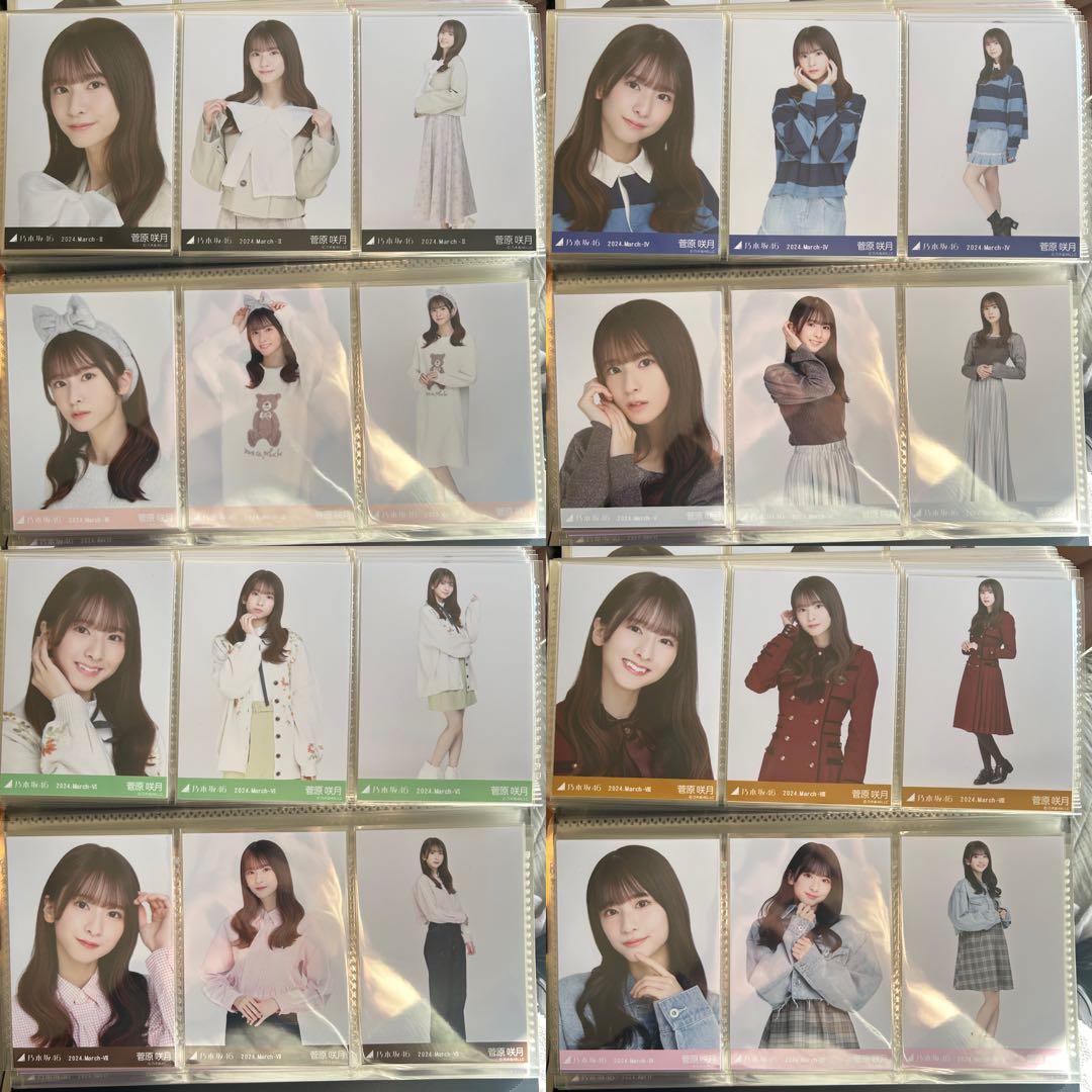 乃木坂46 菅原咲月 2024年月間ランダム 生写真 コンプ 37種 まとめ売り