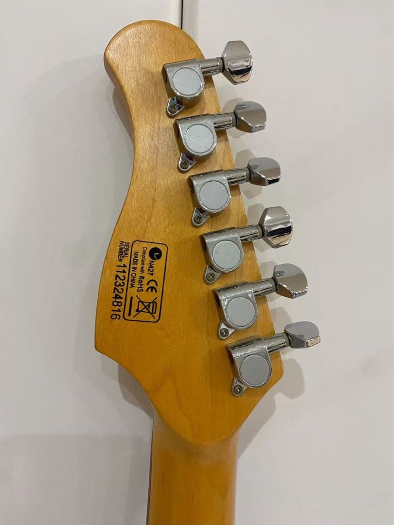 Elioth ギターS 305