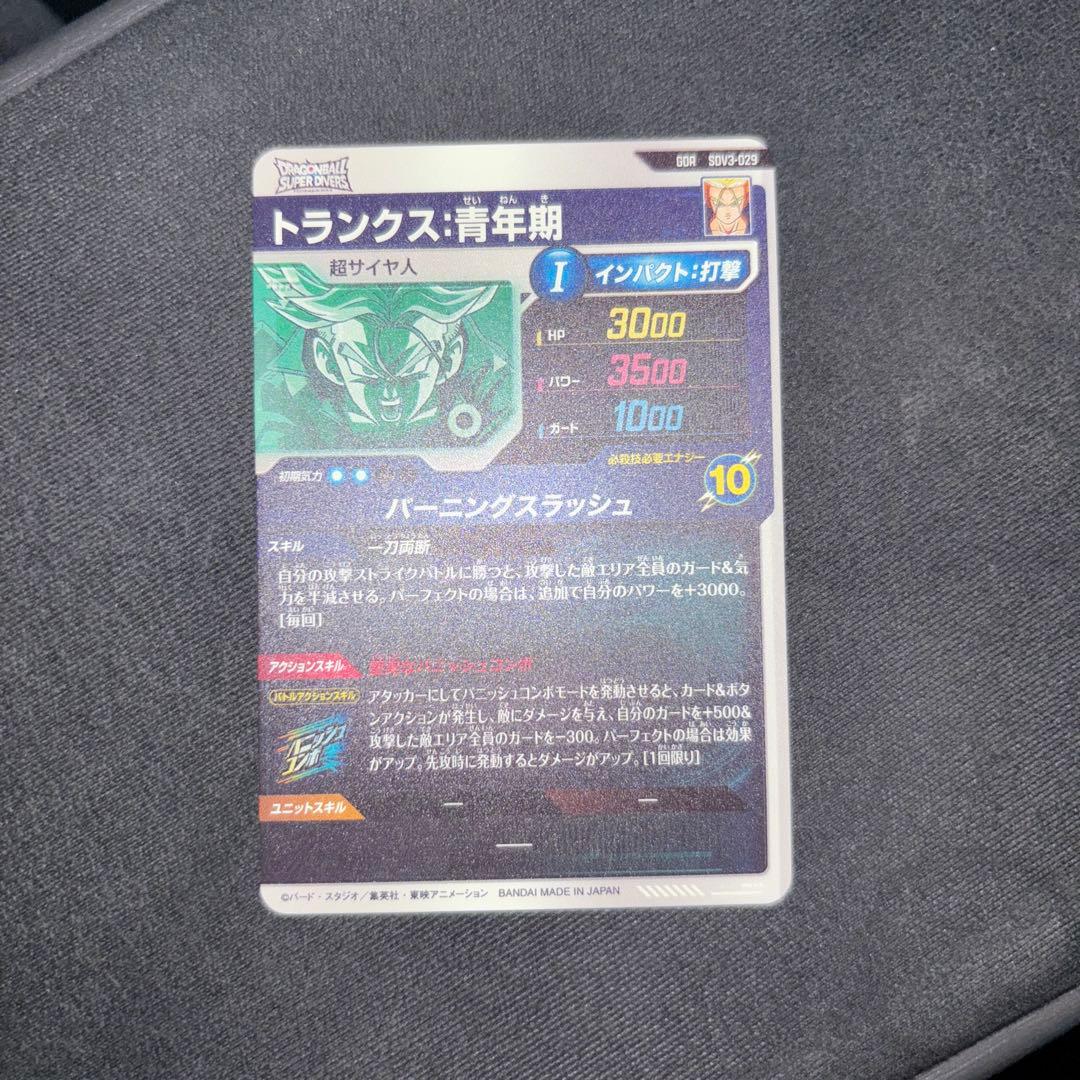 SDV3-029 トランクス:青年期