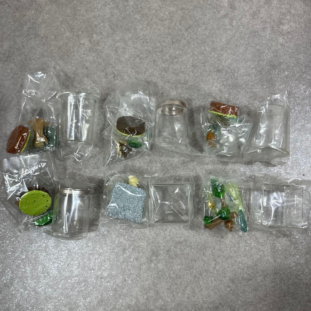 リラックマ はちみつ森のテラリウム リーメント 全6種類 コンプリート