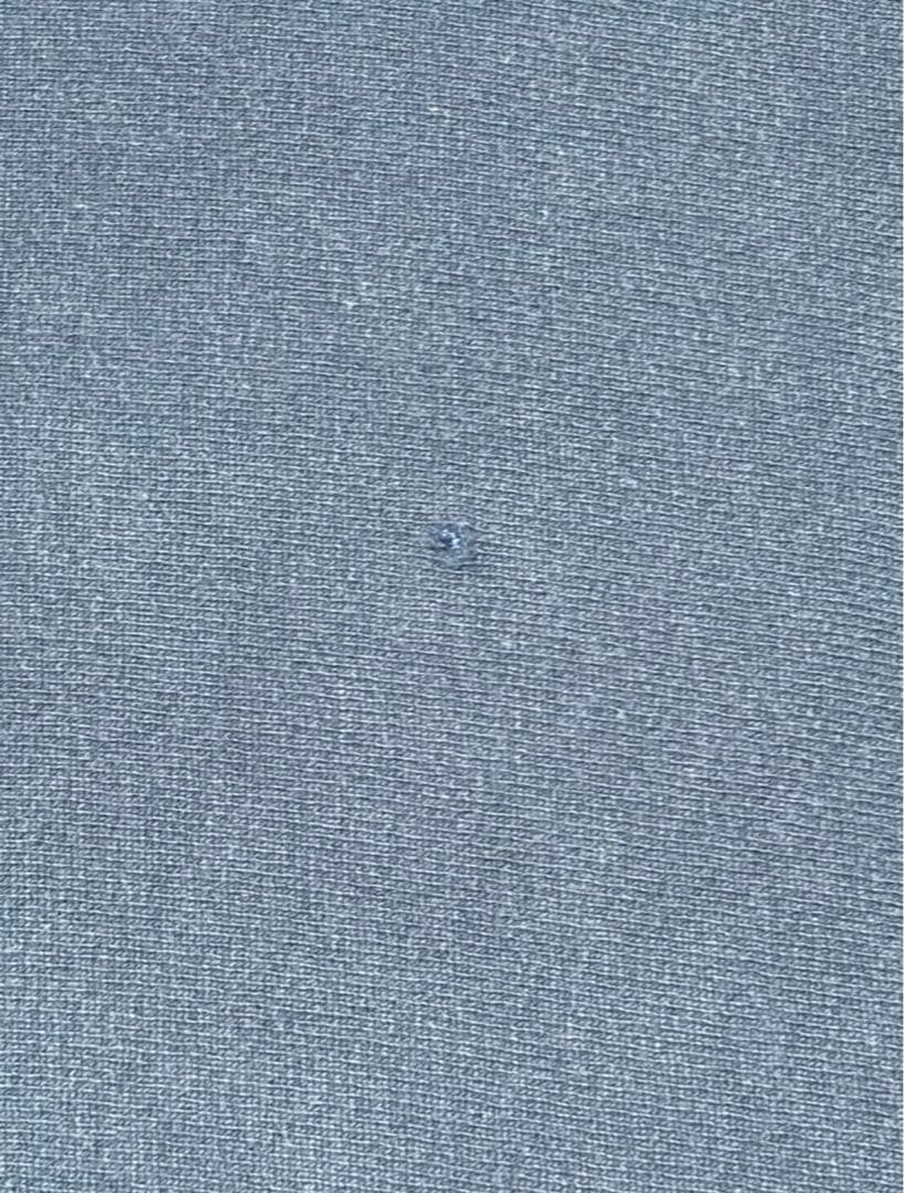 こ*た様 【希少/90s/USA製/L】 チャンピオン リバースウィーブ パーカ