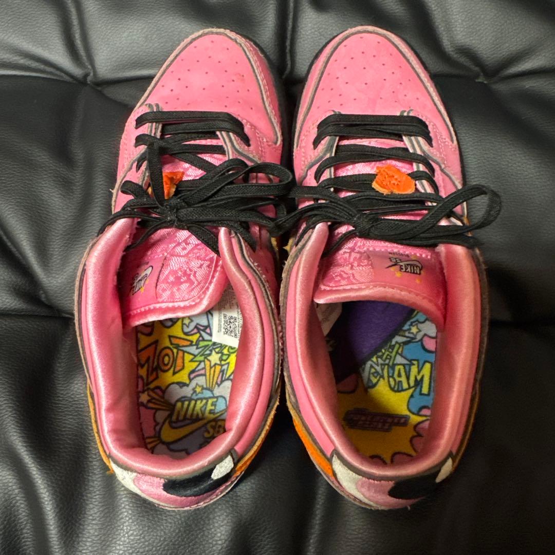 ※美品※ NIKE SB×パワーパフガールズ　22cm