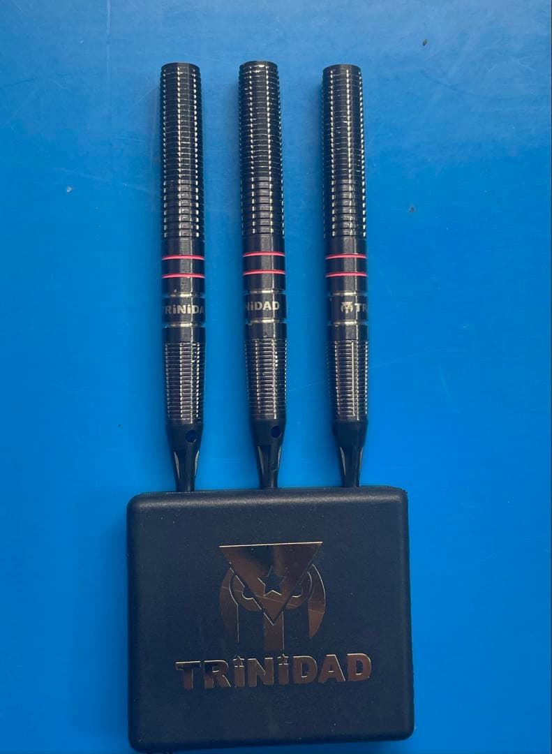 トリニダード プロ ヒューゴ　ダーツ