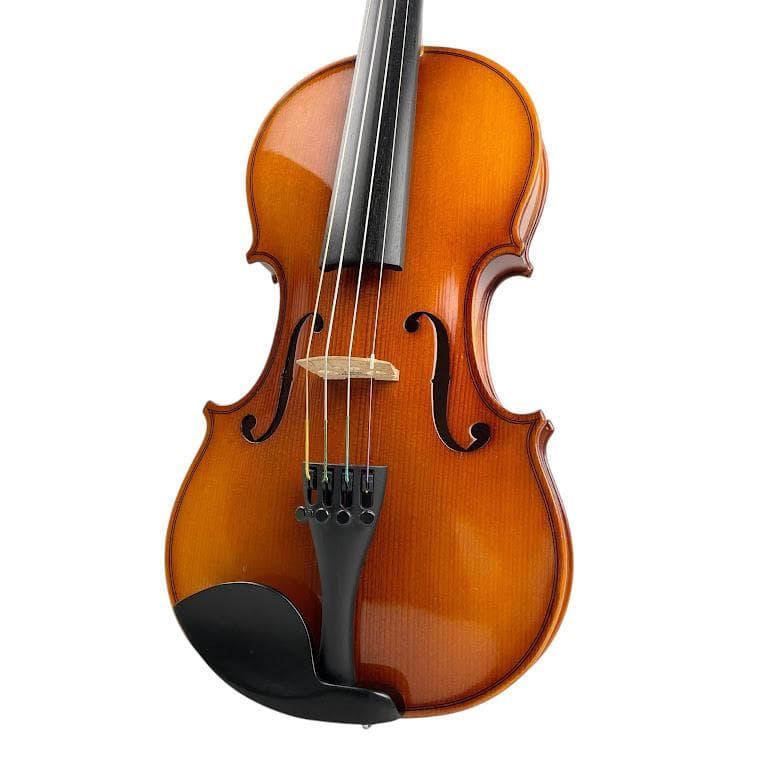 極美品○HORA Reghin○1/2 ホラ レギン バイオリン 初心者・中級者