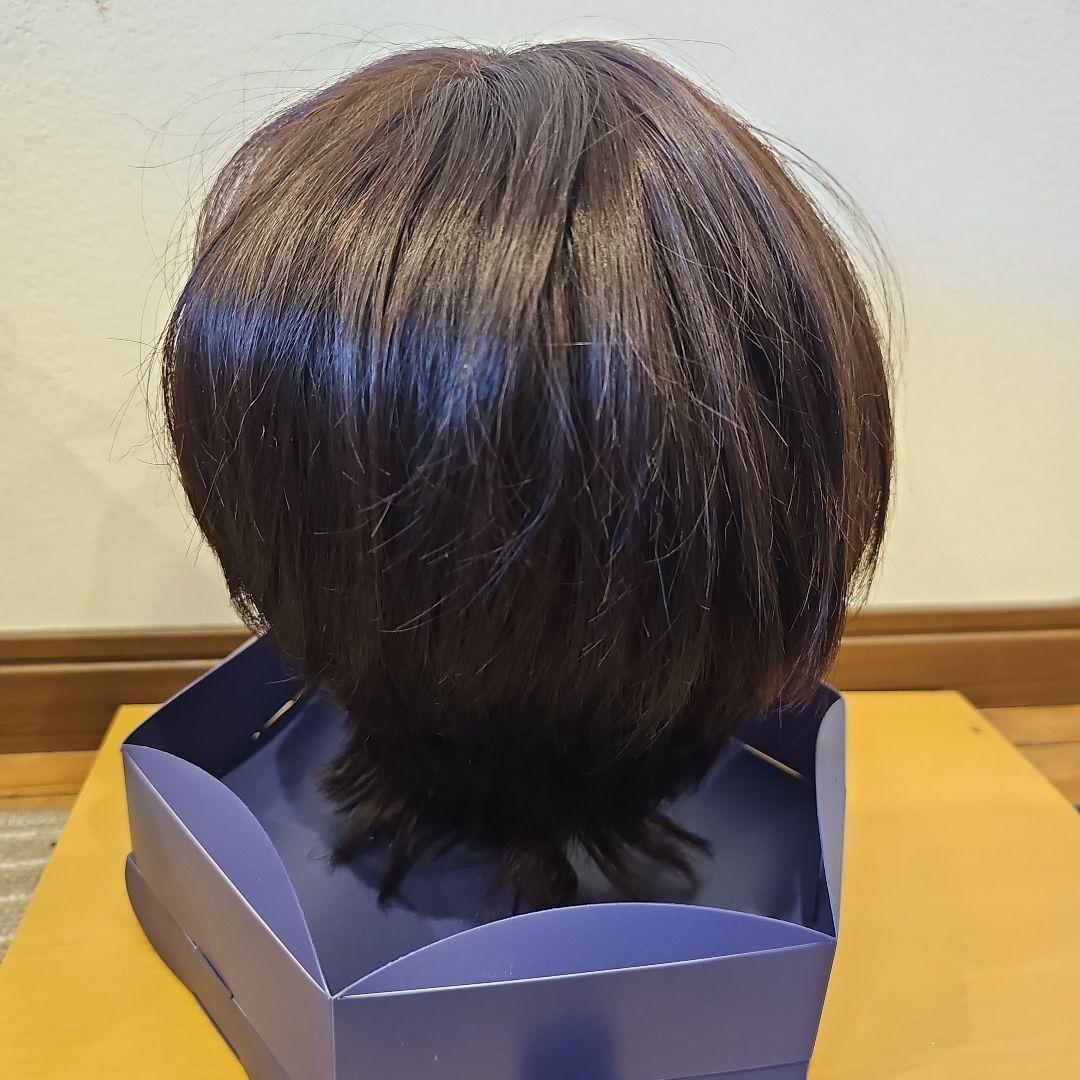 限定値下げ!! 美品!!フォンテーヌ フルウィッグ VR04 R141