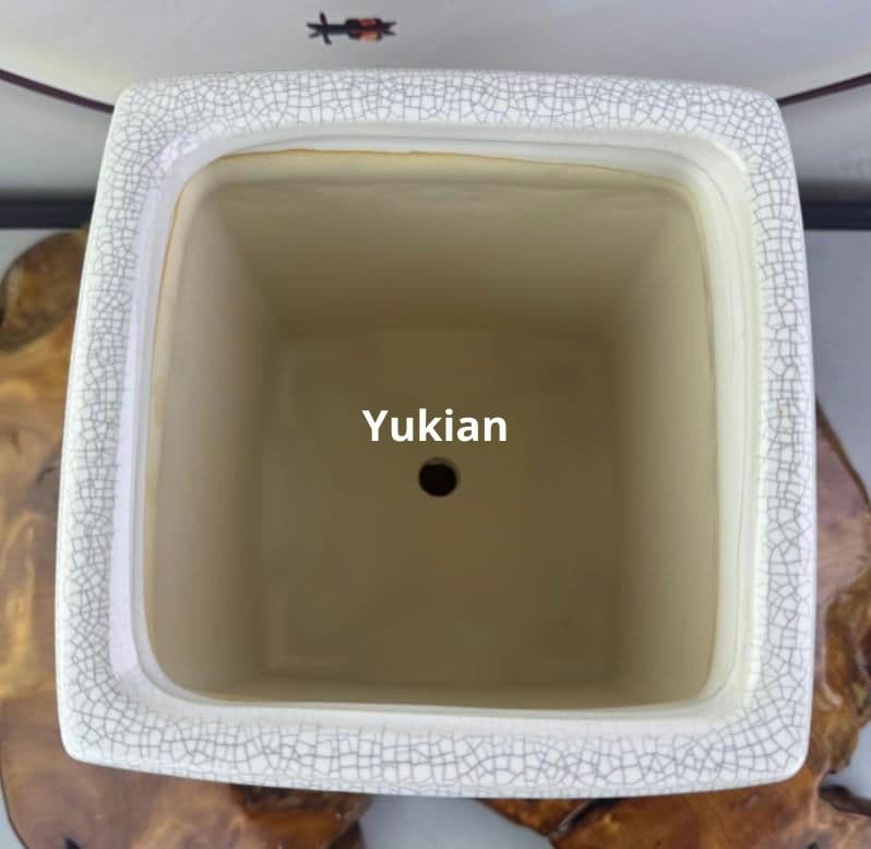 陶磁 植木鉢 方形盆 盆栽鉢 植木鉢 小品盆栽鉢 大品盆栽鉢